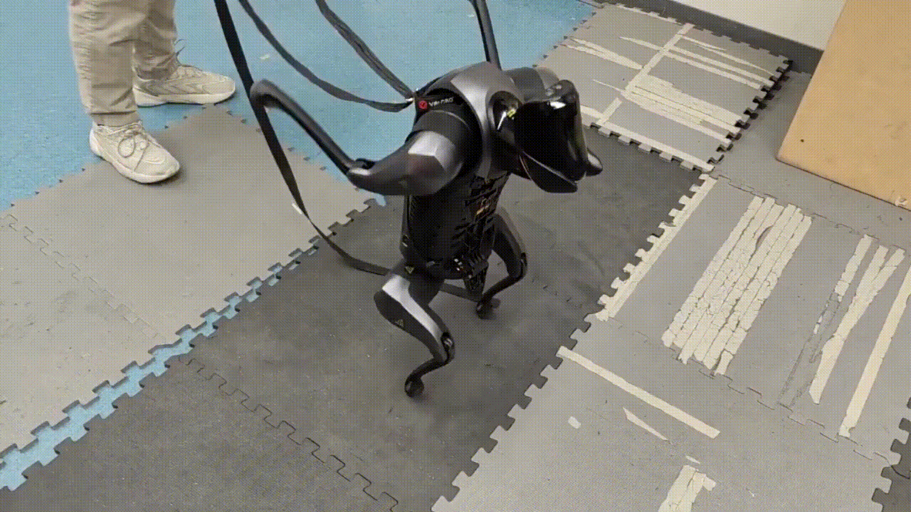 Publication GIF